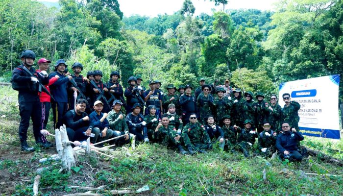 Spirit Perangi mata rantai Narkotika BNN RI Musnahkan 2 Hektar Ladang Ganja di Aceh Besar