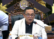 DPR Sahkan UU Reforma Agraria Hari Ini, Siap Atur Batas Kepemilikan Tanah Hingga Sanksi Pidana