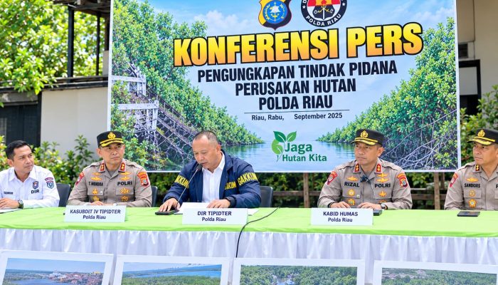 Polda Riau Ungkap Dugaan Perambahan Mangrove, 140 Ton Arang Bakau Disita