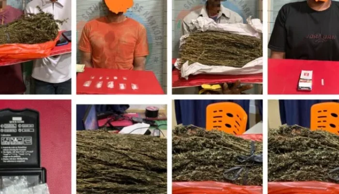 Polres Pidie Jaya Ungkap 4 Kasus Narkotika dalam Sepekan, 2,1 Kg Ganja Disita