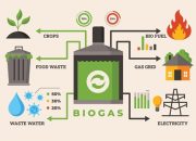 Pupuk Kaltim Ubah Limbah Pertanian dan Peternakan Jadi Biogas, Dorong Ekonomi Desa