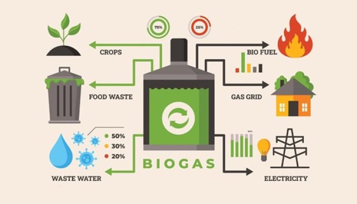 Pupuk Kaltim Ubah Limbah Pertanian dan Peternakan Jadi Biogas, Dorong Ekonomi Desa
