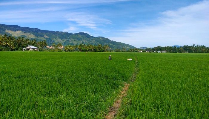 Kadin Minta Perhiptani Lebih Proaktif di Lapangan, Distan Aceh: Hampir 3.000 Penyuluh Masih Aktif
